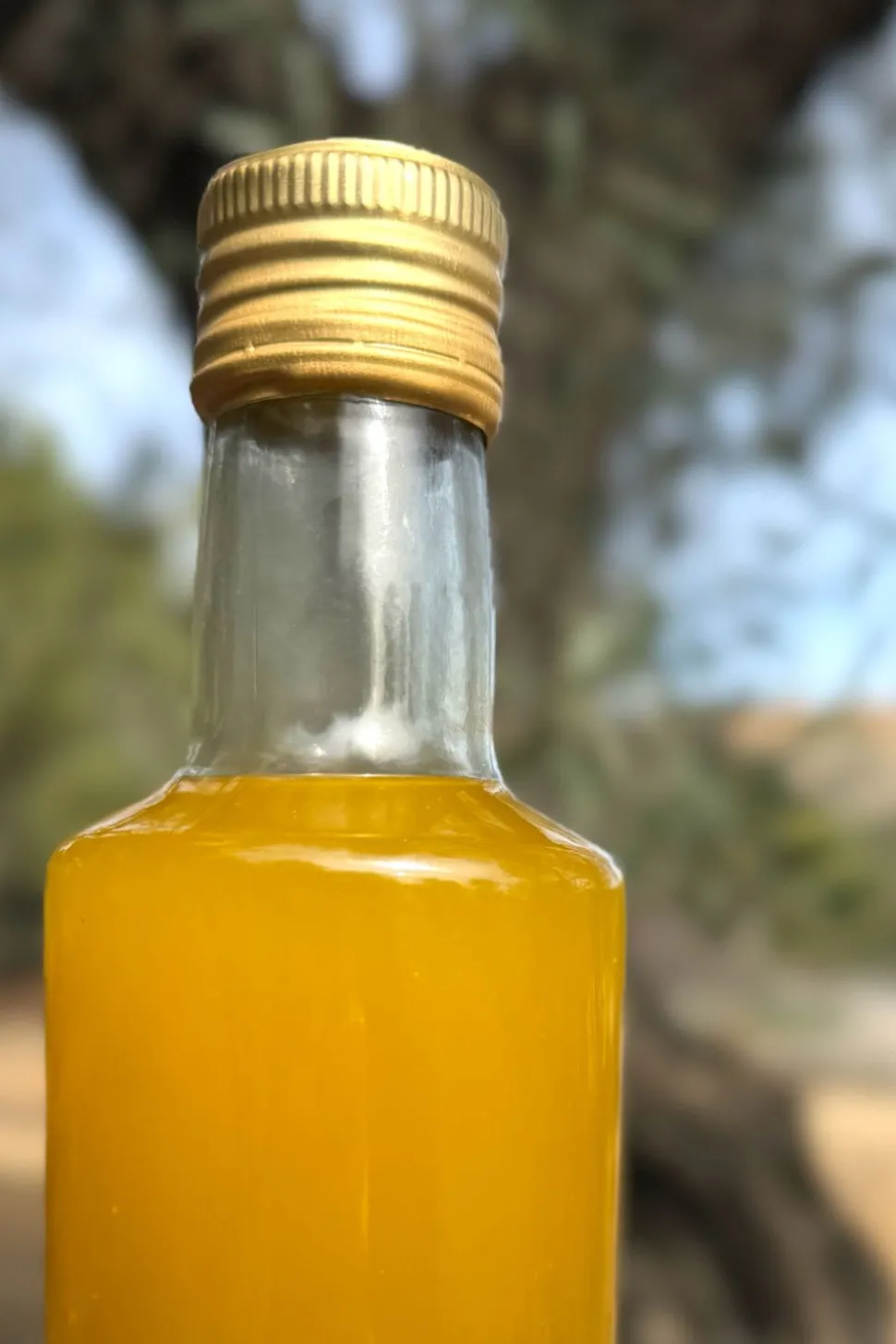 Aceite CO Cornicabra Sin Filtrar Cosecha Diciembre 2025