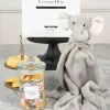 Bolsa Recién Mamá Bretonas & Doudou Elefante CO