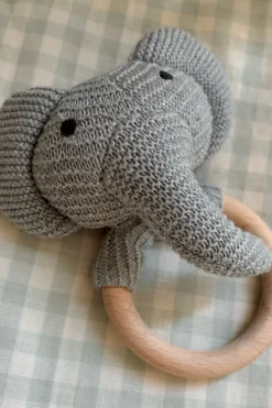 Bolsa Recién Mamá Degustación Gourmet & Sonajero Elefante CO