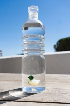 Botella De Cristal Con Figura Pato