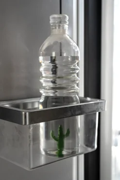 Botella De Cristal Con Figura Cactus