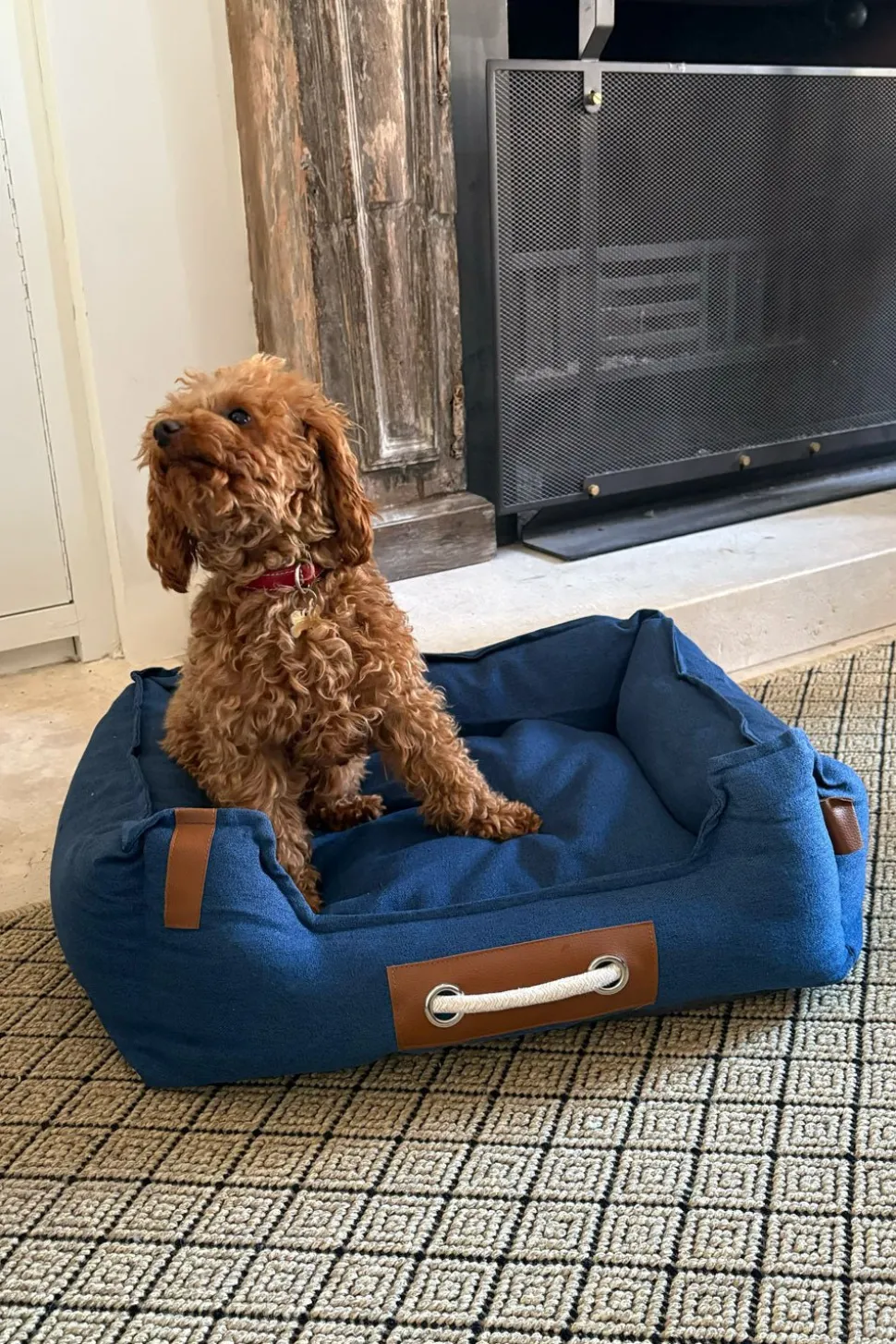 Cama para Mascotas de Tela
