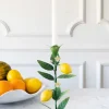 Candelabro De Metal Con Limones