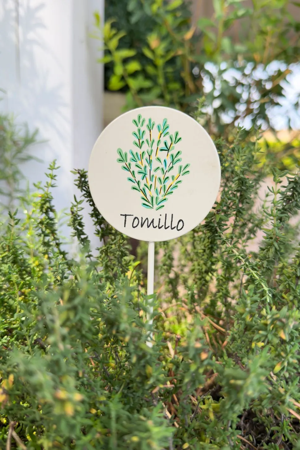 Cartel Para Plantas De Jardín Tomillo