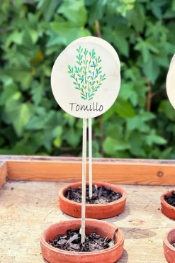 Cartel Para Plantas De Jardín Tomillo