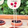 Cartel Para Plantas De Jardín Tomates
