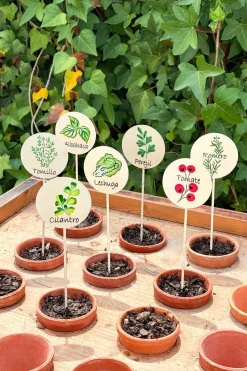 Cartel Para Plantas De Jardín Tomates