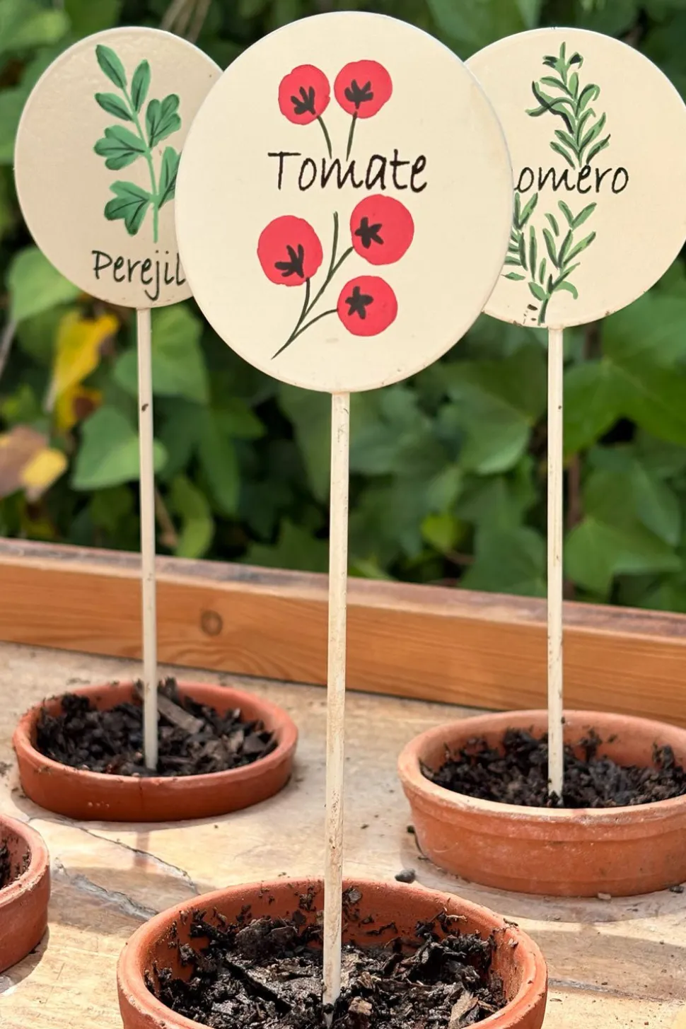 Cartel Para Plantas De Jardín Tomates