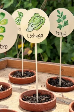 Cartel Para Plantas De Jardín Perejil