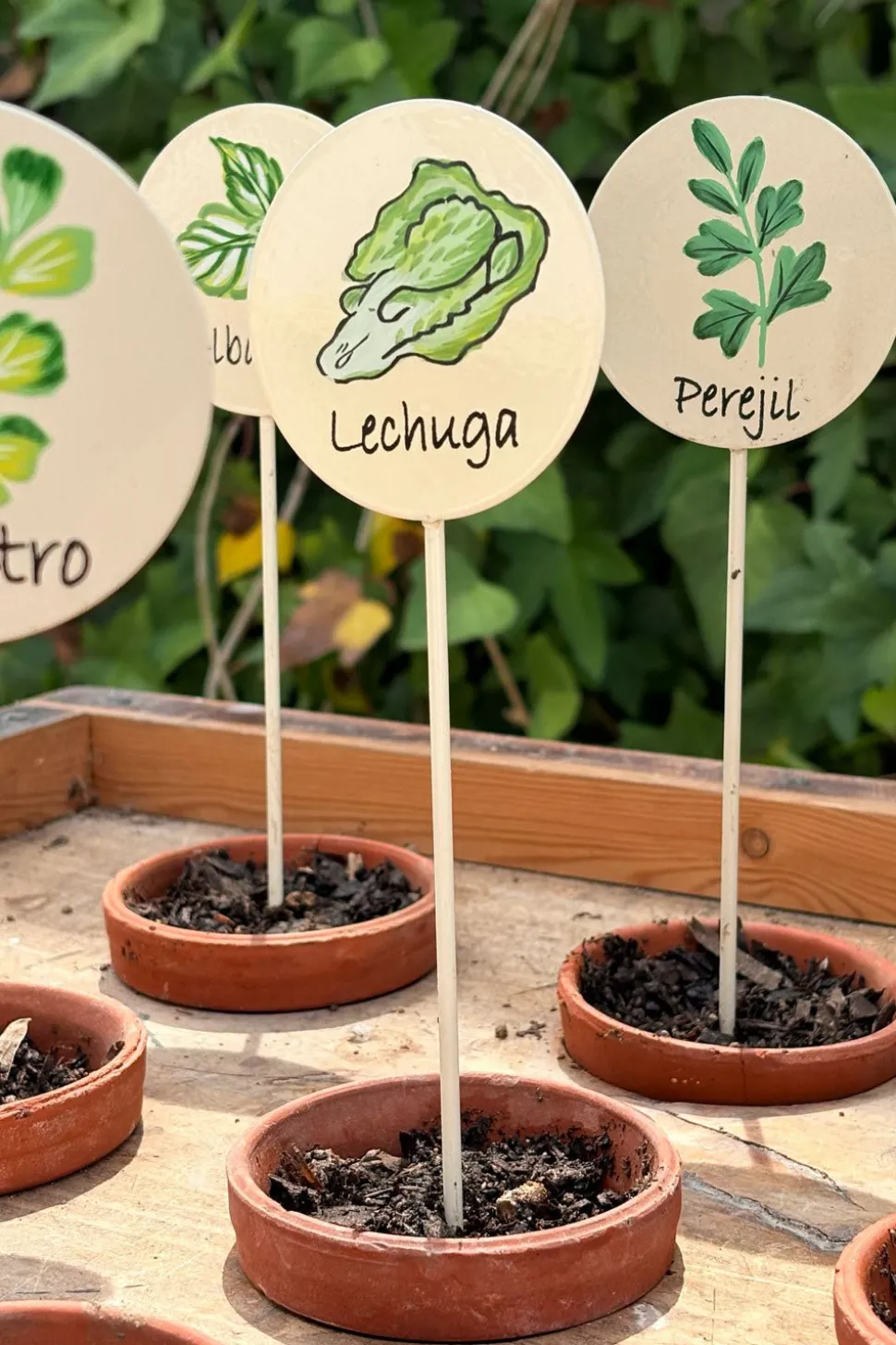Cartel Para Plantas De Jardín Perejil