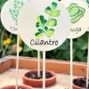 Cartel Para Plantas De Jardín Cilantro