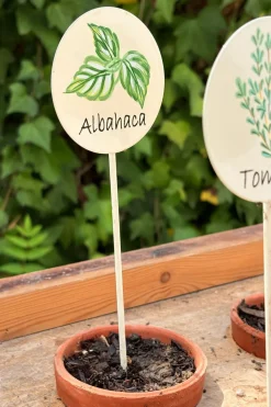 Cartel Para Plantas de Jardín Albahaca