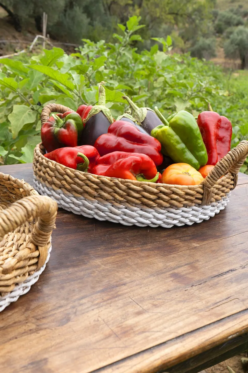 Cesta De Mimbre Bicolor