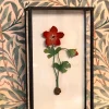 Cuadro De Cristal Con Anémona Roja