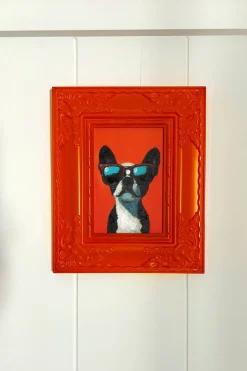 Cuadro Naranja Perro