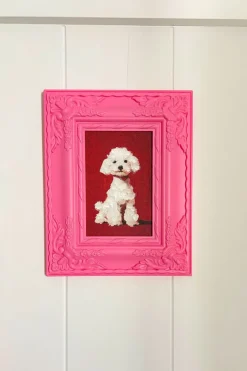Cuadro Rosa Perro