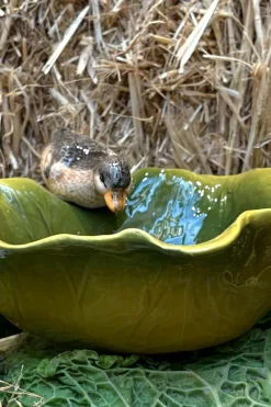 Cuenco Con Diseño De Hoja Y Figura De Pato