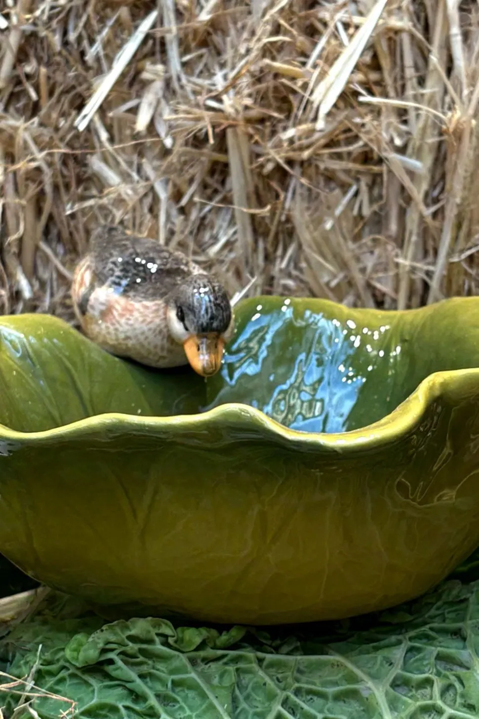 Cuenco Con Diseño De Hoja Y Figura De Pato