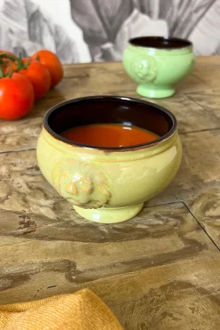 Cuenco De Porcelana Con Diseño De Leones