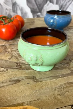 Cuenco De Porcelana Con Diseño De Leones