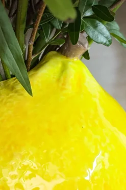 Florero Con Diseño De Limón Grande