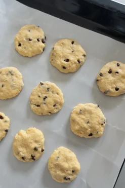 Hoja Especial Para Horno Reutilizable