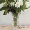 Jarrón De Cristal Andrea 24 Cm