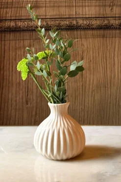 Jarrón De Porcelana Beige
