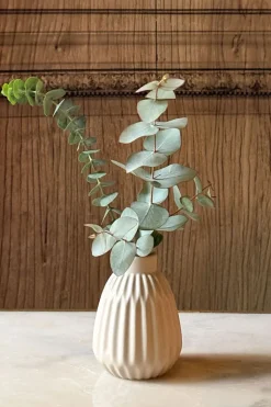 Jarrón De Porcelana Beige