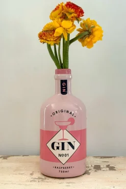 Jarrón Diseño Botella De Ginebra
