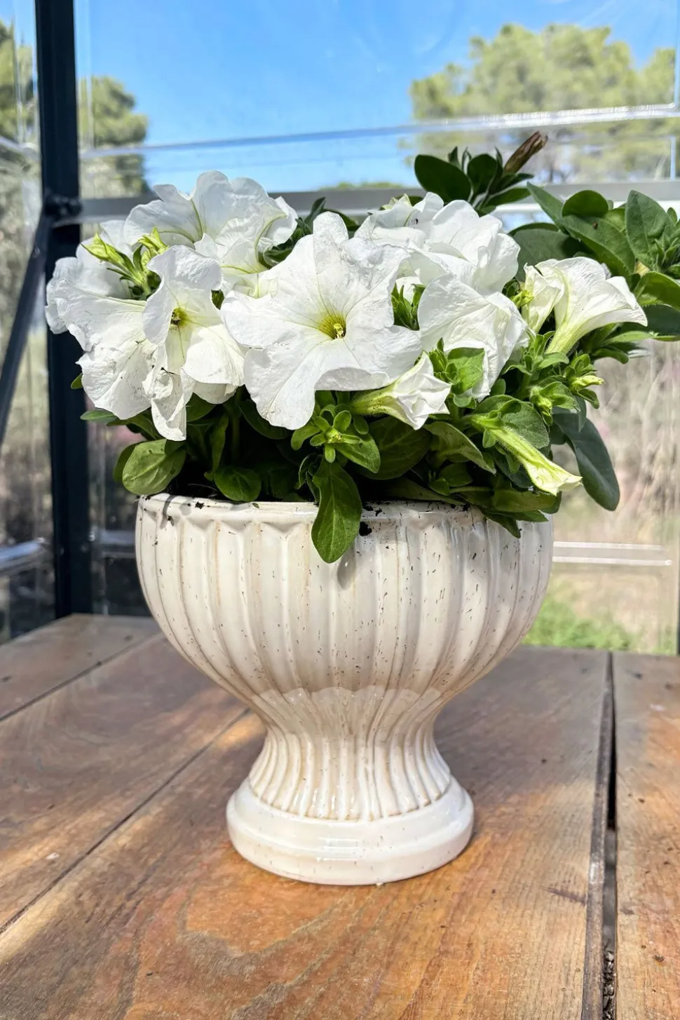 Jarrón Diseño Copa De Porcelana Blanco Roto Grande