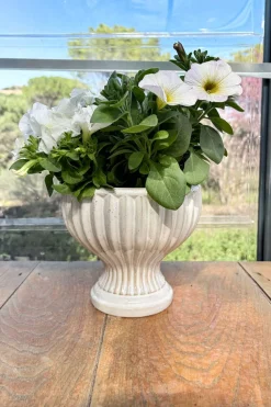 Jarrón Diseño Copa De Porcelana Blanco Roto