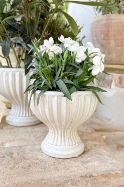 Jarrón Diseño Copa De Porcelana Blanco Roto