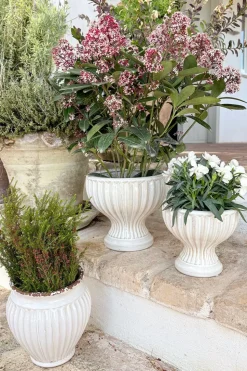 Jarrón Diseño Copa De Porcelana Blanco Roto