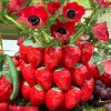 Jarrón Diseño Fresas En Relieve