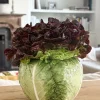 Jarrón Diseño Lechuga Ancho