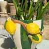 Jarrón Diseño Limones Y Fondo Rayas Verdes