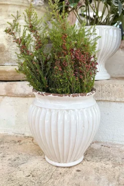 Jarrón Diseño Vasija De Porcelana Blanco Roto