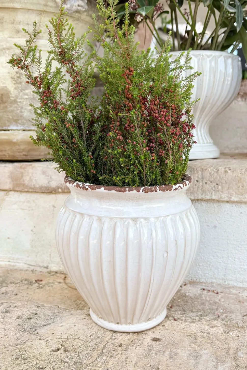 Jarrón Diseño Vasija De Porcelana Blanco Roto