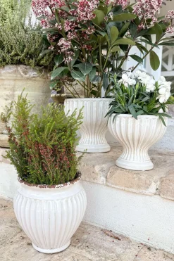 Jarrón Diseño Vasija De Porcelana Blanco Roto