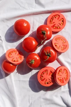 Mordedor Para Bebés Con Diseño De Tomate