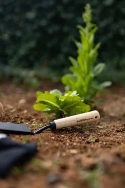 Pala De Acero Y Madera Para Plantación