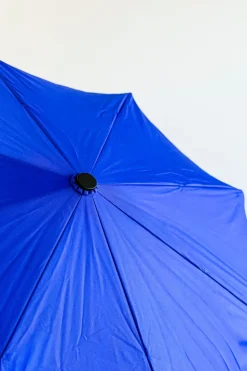 Paraguas Con Diseño Azul Y Mango Con Cabeza De Pato