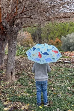 Paraguas Infantil Diseño Dinosaurios
