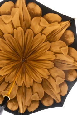 Paraguas Pasotti Negro Con Interior De Flor Dorada