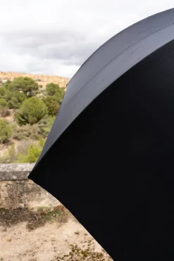 Paraguas Pasotti Negro Con Interior De Flor Dorada
