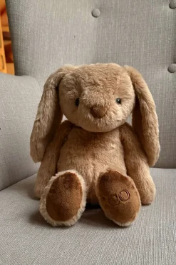 Peluche Conejo Marrón Grande CO