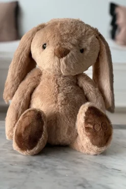 Peluche Conejo Marrón Grande CO