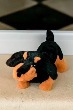 Peluche Teckel CO
