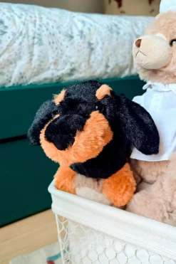 Peluche Teckel CO